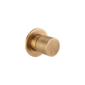Toko Wall Mounted Concealed 2 Way Diverter