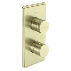Fonteyn Trim Part For Thermostatic Shower Mixer 2 Outlet/2 Round Handle