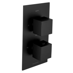 Universal Trim Part for 2 Outlet Thermostatic Shower Mixer With Square Handle