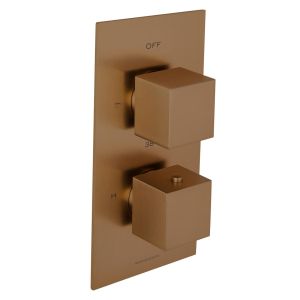 Universal Trim Part for 2 Outlet Thermostatic Shower Mixer With Square Handle