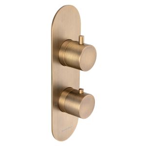 Universal Vertical Trim Part For Thermostatic Shower Mixer 2 Outlet/2 Round Handle