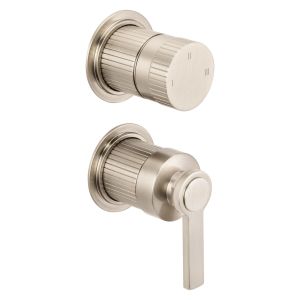 Fonteyn Trim Part For Wall Mounted Concealed Shower Mixer With 2 Way Diverter