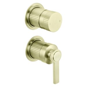 Fonteyn Trim Part For Wall Mounted Concealed Shower Mixer With 2 Way Diverter
