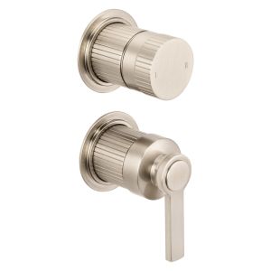Fonteyn Trim Part For Wall Mounted Concealed Shower Mixer With 2 Way Diverter