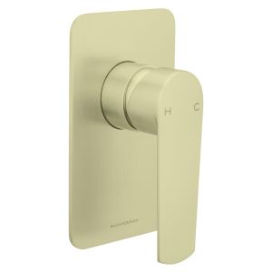 Vitesse Trim Part for Wall Mounted Concealed Shower Mixer