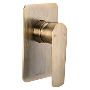Vitesse Trim Part for Wall Mounted Concealed Shower Mixer