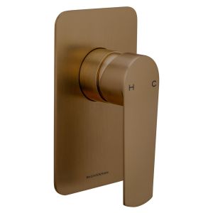 Vitesse Trim Part for Wall Mounted Concealed Shower Mixer