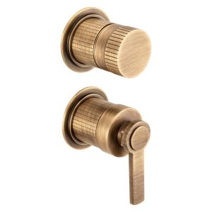 Fonteyn Trim Part For Wall Mounted Concealed Shower Mixer With 2 Way Diverter