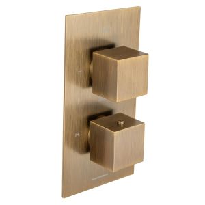 Universal Trim Part for 2 Outlet Thermostatic Shower Mixer With Square Handle