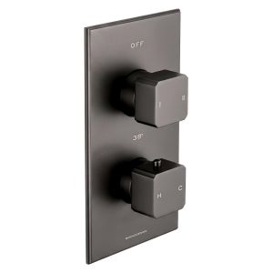 Carlyle Trim Part For Thermostatic Shower Mixer 2 Outlet/2 Square Handle