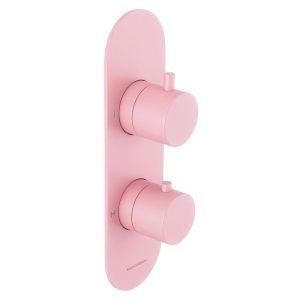Universal Vertical Trim Part For Thermostatic Shower Mixer 2 Outlet/2 Round Handle