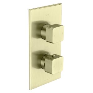 Carlyle Trim Part For Thermostatic Shower Mixer 2 Outlet/2 Square Handle