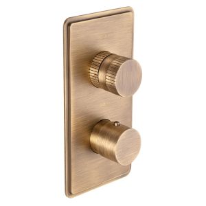 Fonteyn Trim Part For Thermostatic Shower Mixer 2 Outlet/2 Round Handle