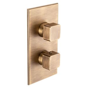 Carlyle Trim Part For Thermostatic Shower Mixer 2 Outlet/2 Square Handle