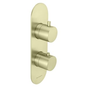Universal Vertical Trim Part For Thermostatic Shower Mixer 2 Outlet/2 Round Handle