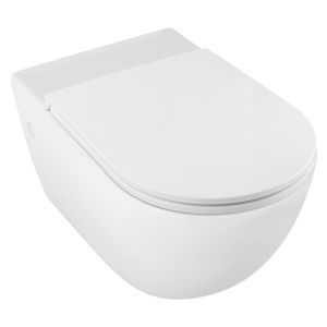 Vitesse Rimless Wall Mounted WC