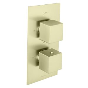 Universal Trim Part For Thermostatic Shower Mixer 2 Outlet/2 Square Handle